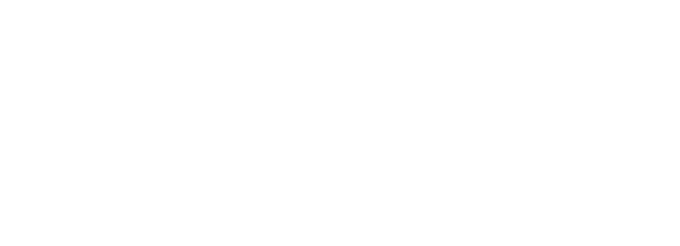 panel.amaxsolutions.online